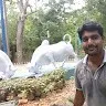 Cheenu Seenu