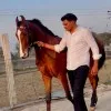 Anuj Chahar