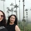 DIANA MARLEN NIETO TORRES