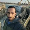 Sayed Nour