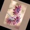 Sreeja