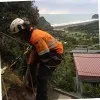 Raumati Brown