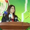 Wafa Haddad