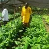 Joshua Ochieng