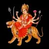 AVINASH RAY