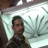 Pradeepsingh Rathore
