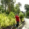 Calista Dwi Hartini
