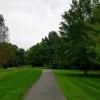 Swatika Maddipatla