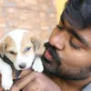 PRAVEEN MOHANAN KOTTARAPAT