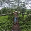 Dedy Riwanto