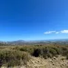 Emmett Sheahan