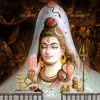 ashwani kumar