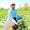 Rahul Karhade