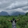 Tai Pipi