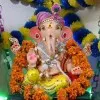 shailendra verma