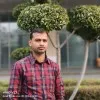 Bhushan Bharti