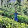 Jagadesh jaga