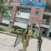 Rojina Khatun