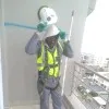 Pachawo Mike Manyika