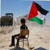 Naveed Muhammad