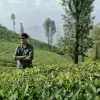 Kanishk Modi