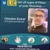Chandan Shahi