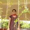 Divya shree