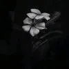 alphonsa chinnu
