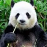 YUNHAO FENG