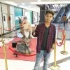 ASIF ALLI