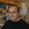 Mohsen Alishahi