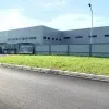 Nga Dang