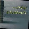 Amina Jamal