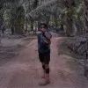 Handi Riyanto