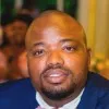 Andile Gono