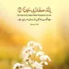 Zarbakhat Arooj