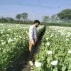 Vishal Sharma