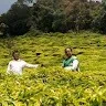 Asadulla KhanA