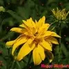 test3 three