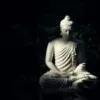 vignesh vicky