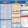 Michone Janine Williams