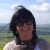 Bev Gordon