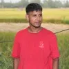 Md Amir Hossain