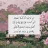 Dana Saadat