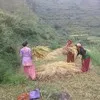 Samarath Negi