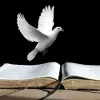 TrueVine Ministries John Michael Warren