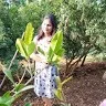 Rashila pokale