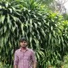 gokul nath
