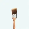 The Brown Brush
