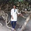 Swapna peta
